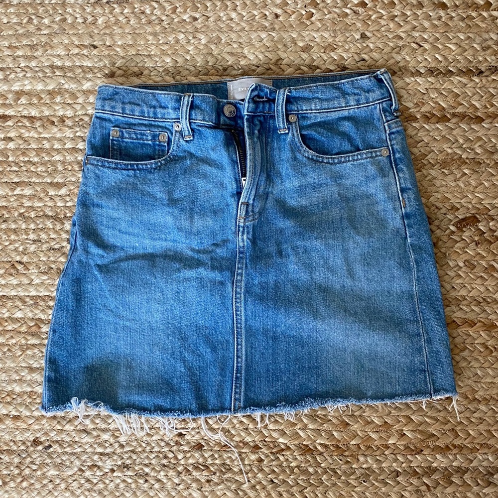 Everlane denim skirt